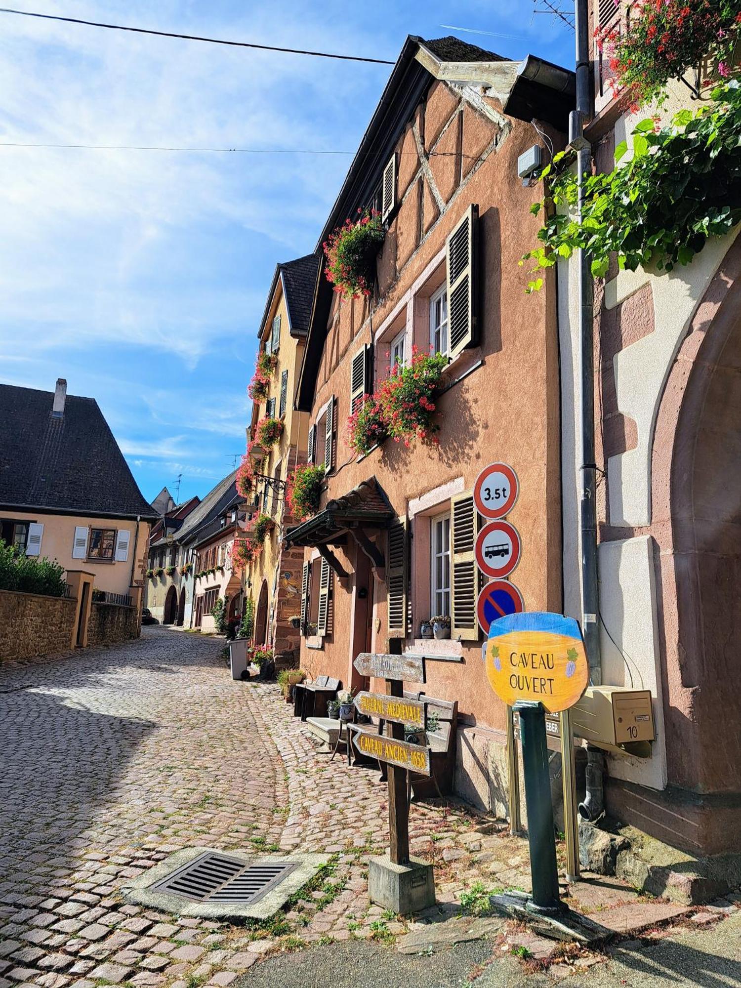 Grand Gite Dans Maison Alsacienne Historique Gueberschwihr Exterior foto